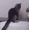 RYfdyKFpgfltHZk